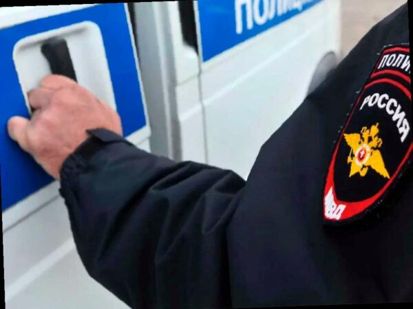 В Сочи найдено много нелегальных морепродуктов