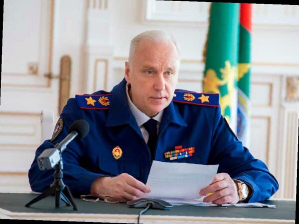 Бастрыкин обратил внимание на ситуацию с нападением собаки на ребёнка в ЖК «Моравия» в Сочи