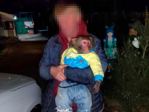 Сочи ужесточает правила содержания диких животных