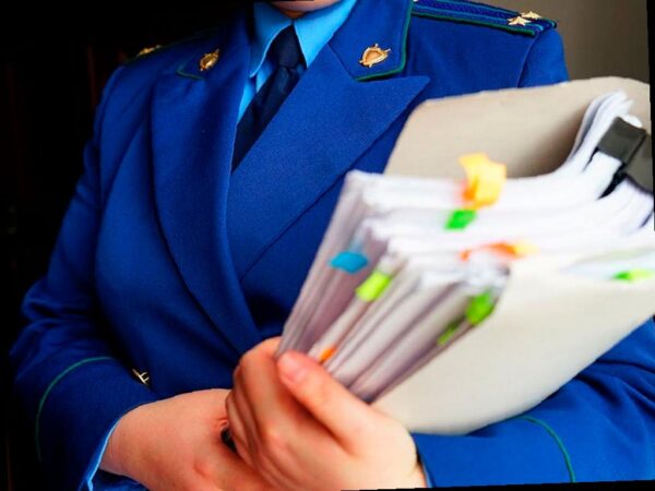 Нарушения в работе школы единоборств в Сочи