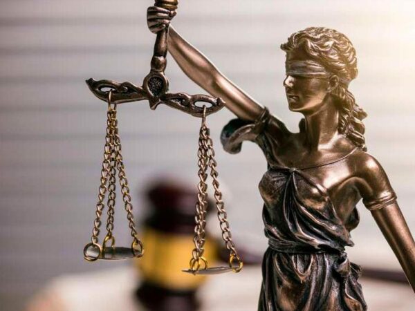 Хозяину собак, напавших на ребенка в Сочи, вынесли приговор