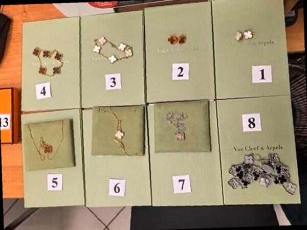 В Сочи задержана контрабандистка с драгоценностями на 32 млн рублей