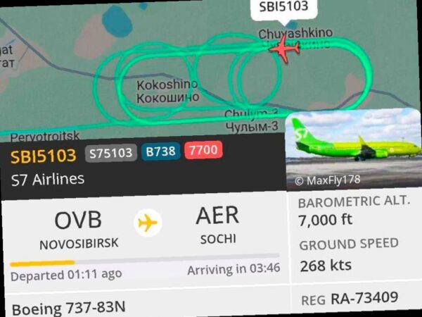 Разгерметизация салона на рейсе из Новосибирска в Сочи