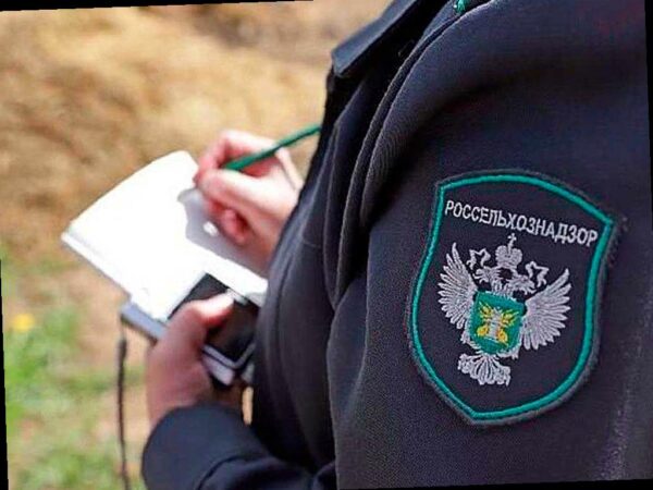 В Адыгее обнаружены очаги опасного сорняка