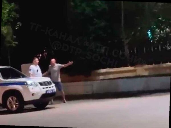 В Сочи пьяный мужчина нанес удар инспектору ГИБДД