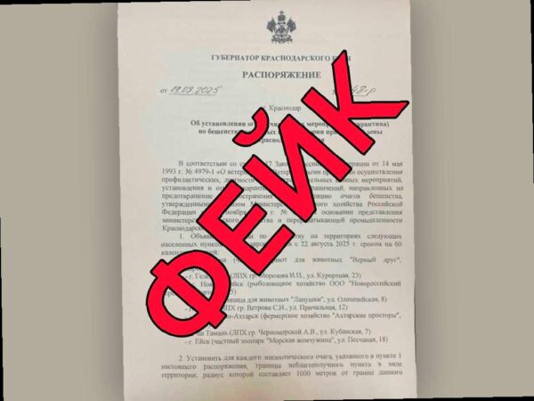 Карантин по бешенству животных на Кубани оказался фейком