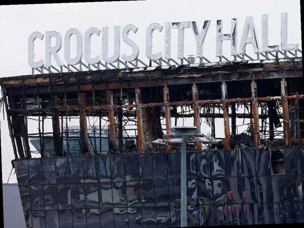 Девушка из Сочи стоит перед судом за оправдание теракта в «Крокус Сити Холле»