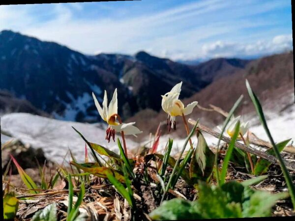 В Сочи откроется фотовыставка победителей конкурса «Четыре сезона красоты»