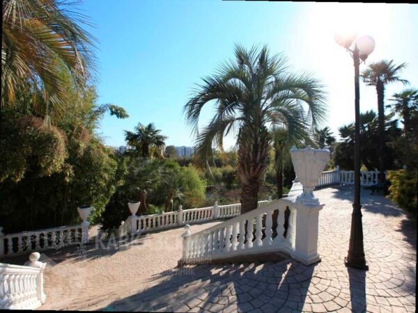 Парк «Южные культуры» отмечает 115-летие: особенности празднования