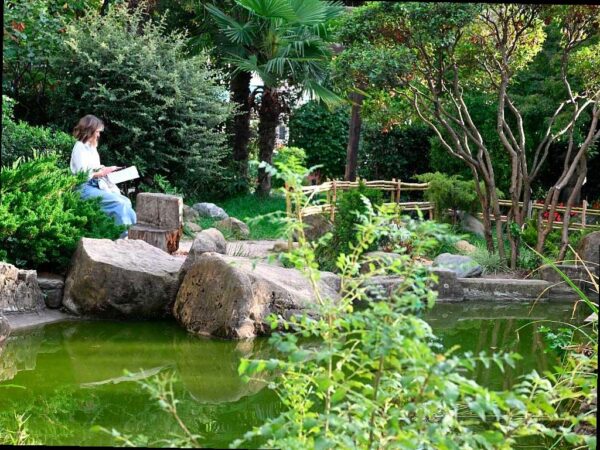 Реконструкция Сада Российско-Японской дружбы в Сочи получила финансирование в размере 15 миллионов рублей из краевого бюджета. Обновление парка проходит поэтапно с акцентом на озеленение. В планах высадить около 3,5 тысяч деревьев, кустарников и цветов.