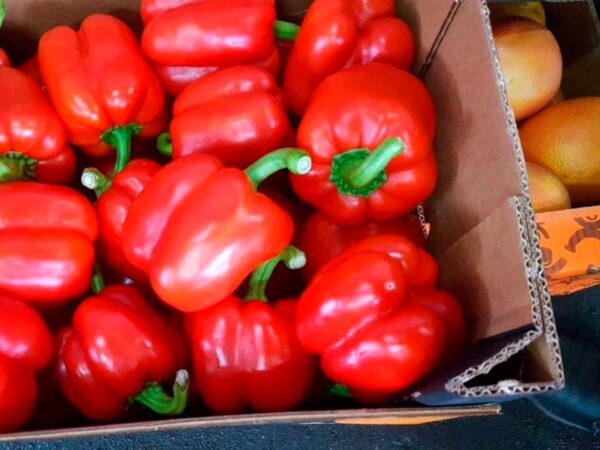 На Кубани обнаружили более 5 тонн зараженных овощей