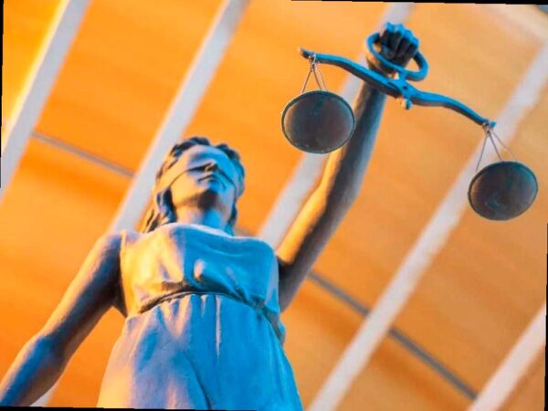 Штраф в размере 10 млн рублей за вырубку растений на участке