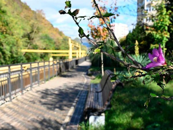 В Лазаревском районе Сочи откроется новая прогулочная аллея