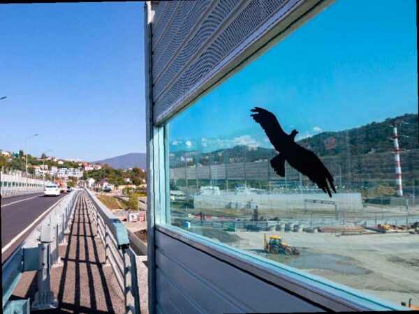 Дорожники в Сочи помогают птицам избежать столкновений с экранами