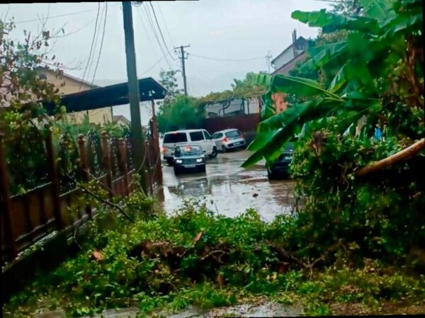 Сочи справляется с последствиями непогоды: потопы и падающие деревья