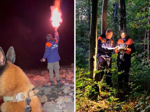 Пенсионерка провела ночь в лесу после похода за грибами