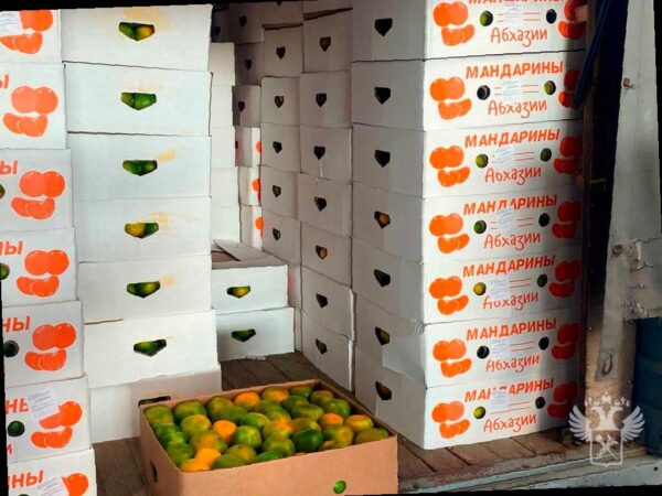 На российско-абхазской границе начался сезон мандаринов
