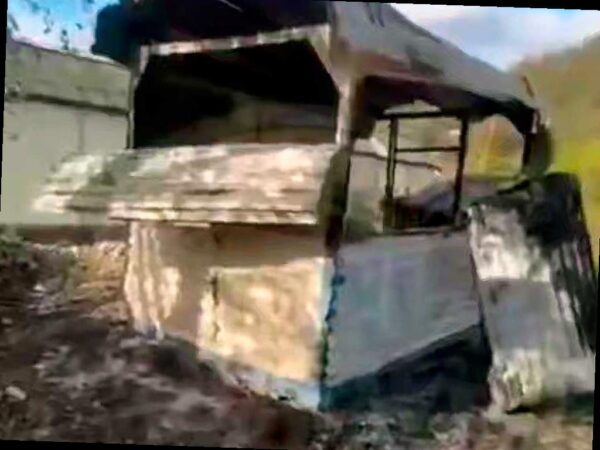 Неизвестные в Сочи зажгли двух собак