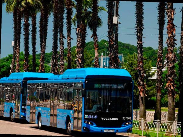 В Сириусе будут курсировать дополнительные автобусы вечером