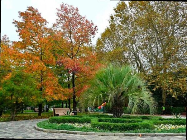 В Хосте открыли обновленный парк к Дню народного единства