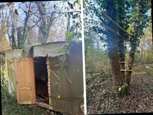 В Сочинском нацпарке нашли браконьерское укрытие