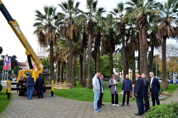 «Виктор Тепляков осмотрел сквер «Кооперативный»