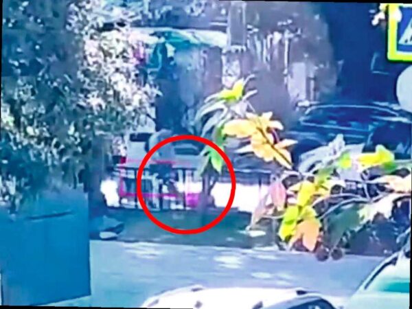 Житель Сочи потерял чемодан с деньгами, нашедшему грозит срок