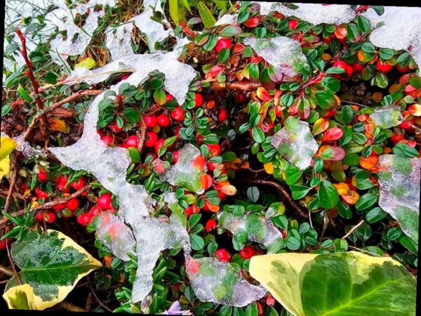 Холодная погода приближается к Сочи