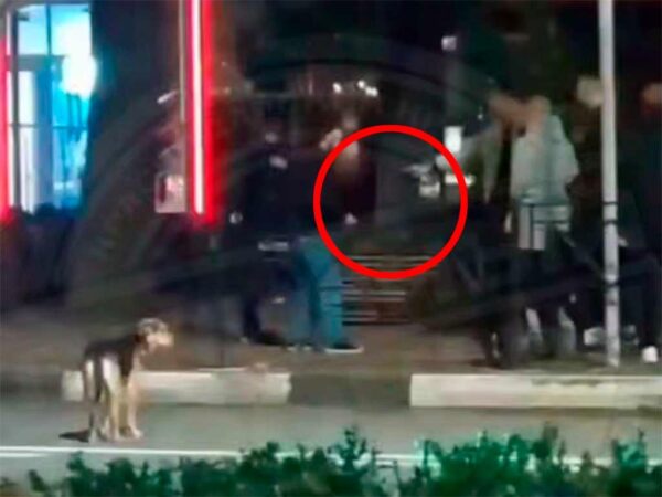 Ночная драка возле бара в Сочи вызвала беспокойство