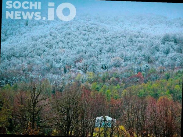 Сильные снегопады ожидаются в горах Сочи 13 декабря. Прогнозируется, что количество осадков достигнет 20-25 мм, что может привести к значительным выпадениям снега на средних и высоких отметках.