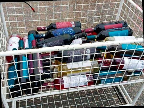 Сотрудники таможни в Сочи обнаружили незаконную партию алкоголя и сигарет у туриста из Абхазии