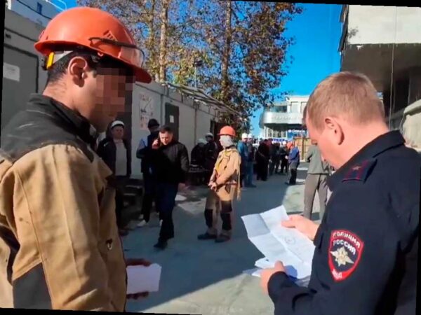 Миграционный рейд в Хостинском районе Сочи