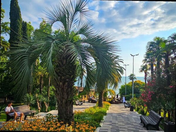 Сочи готовится к новым рекордам в туристическом потоке к 2025 году