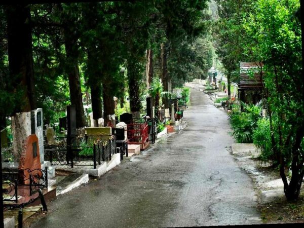 Цифровизация кладбищ в Сочи будет завершена к 2027 году