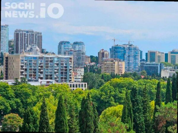 В Сочи создадут новые зоны охраны природы