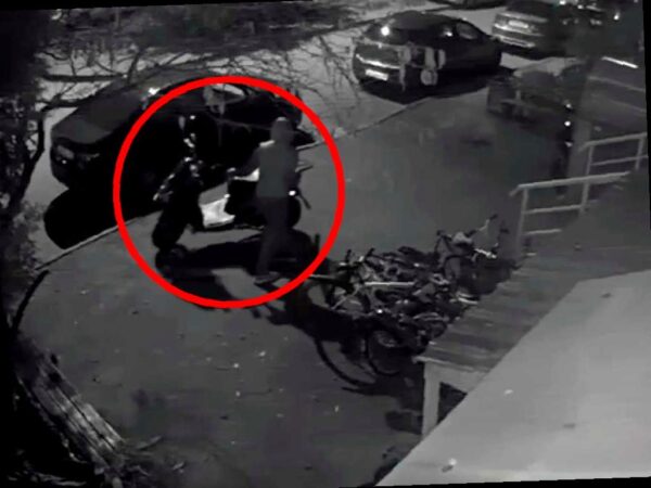 В Адлере задержали молодого человека за кражу мопеда