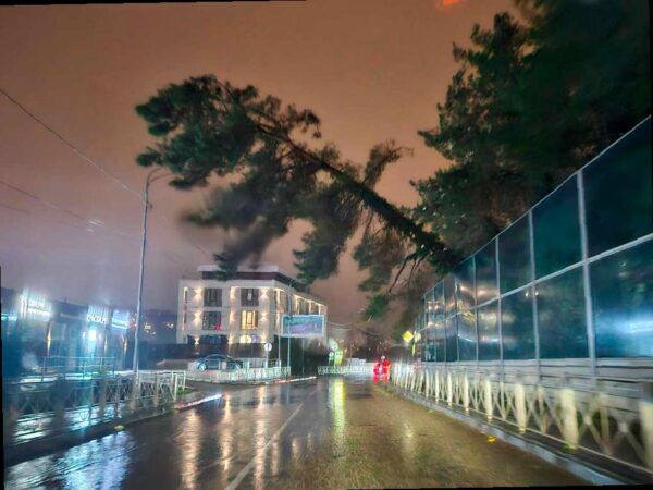 Справляемся с непогодой: убираем упавшие деревья и восстанавливаем провода в Сочи