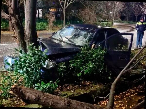 Подросток в Сочи на автомобиле врезался в дерево
