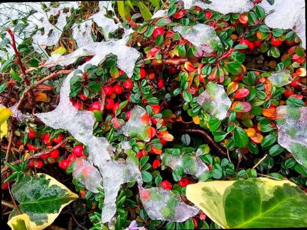 В предгорьях Сочи ожидается сильный снег 16 января