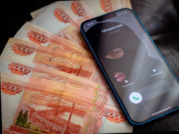 Фальшивая налоговая схема унесла у сочинки более 330 тысяч рублей