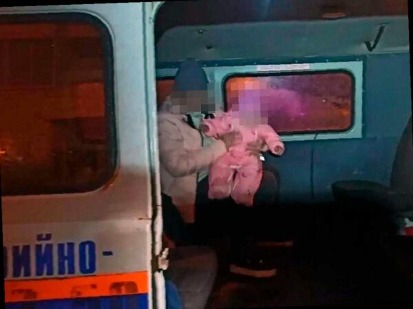 Семья с двумя детьми была спасена из-за снежного плена в горах Сочи