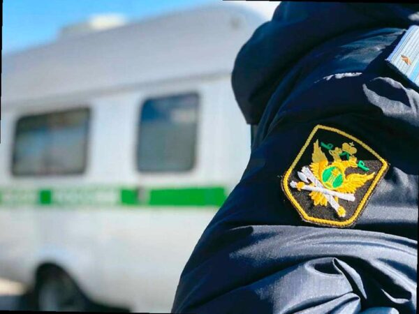 Кубанские приставы списали 1,7 млн рублей с криптокошелька алиментщика