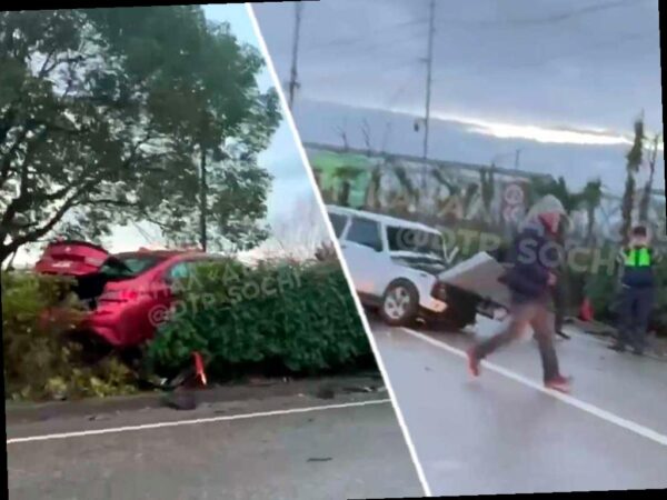 Автомобиль улетел в кусты после столкновения в Адлере