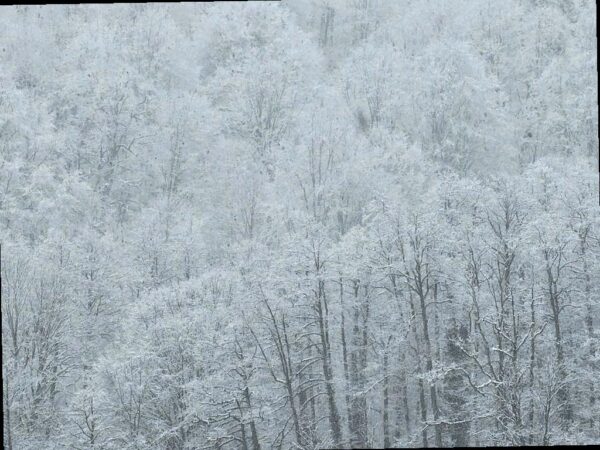 Очень сильный снегопад ожидается в горах Сочи