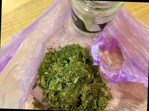 Приехал на заработки, получил статью: в Сочи задержали приезжего с мар