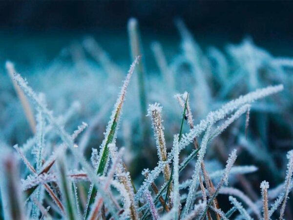 Шторм, снег и гололед: погода в Сочи на 26 февраля