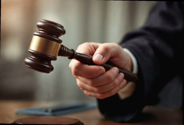 Верховный суд рассмотрит спор мэрии Сочи и СНТ «Крокус» за участок в Р