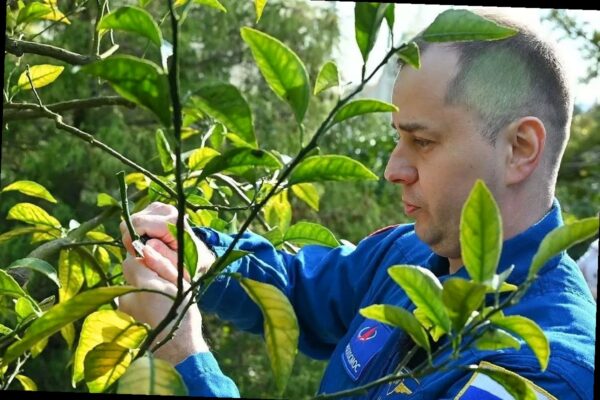 Космонавт Олег Платонов прошёл реабилитацию в Сочи и оставил «след» на