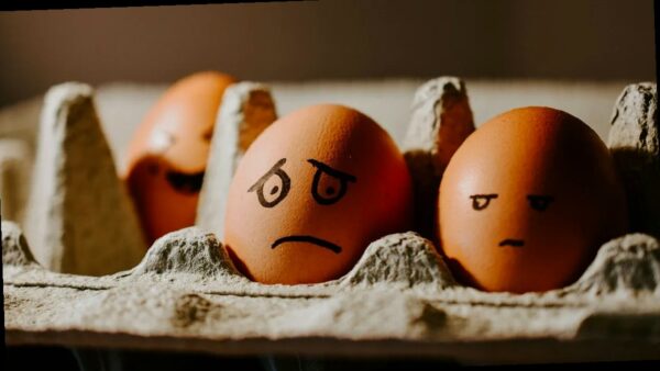 На Кубани подорожали яйца и овощи, а техника заметно подешевела