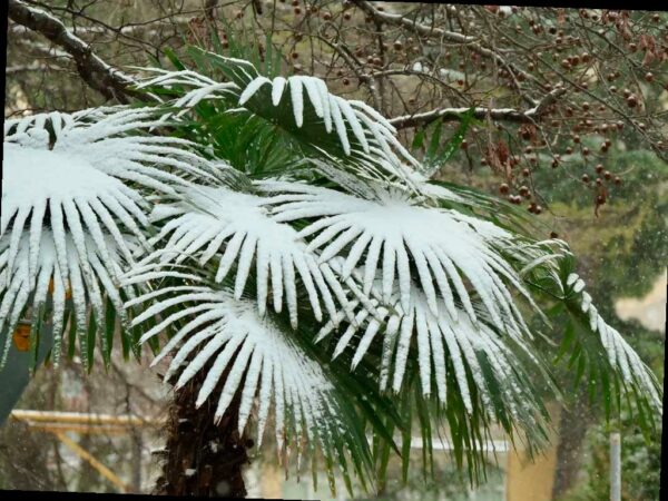 В предгорьях и горах Сочи прогнозируют снег и гололед